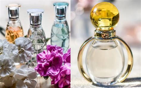 perfume y colonia diferencias